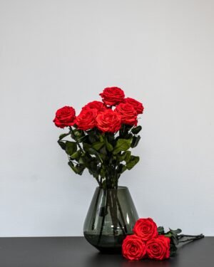 Eksklusiivinen Ikuisuusruusukimppu – Aitoja ruusuja jotka kestävät vuosia (60 cm) - Image 5