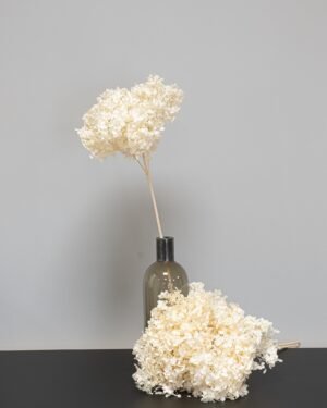 Eksklusiivinen Säilötty Hortensia Long – Luonnon luksusta kotiisi (60 cm) 13 Eksklusiivinen Säilötty Hortensia Long – Luonnon luksusta kotiisi (60 cm) - Image 3