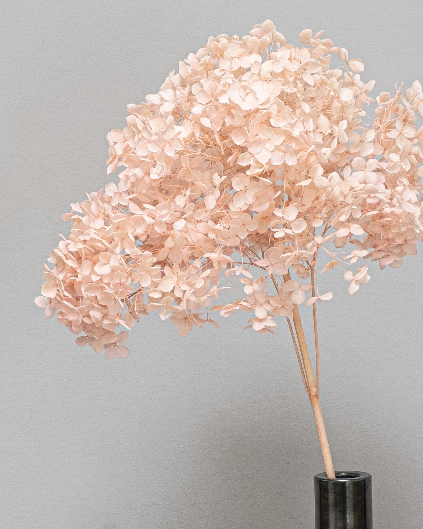 Eksklusiivinen Säilötty Hortensia Long – Luonnon luksusta kotiisi (60 cm) 5 Eksklusiivinen Säilötty Hortensia Long – Luonnon luksusta kotiisi (60 cm) - Image 5