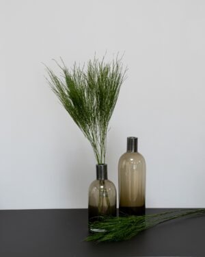 Tiki Saniainen - Säilytetyt kasvit - Image 3