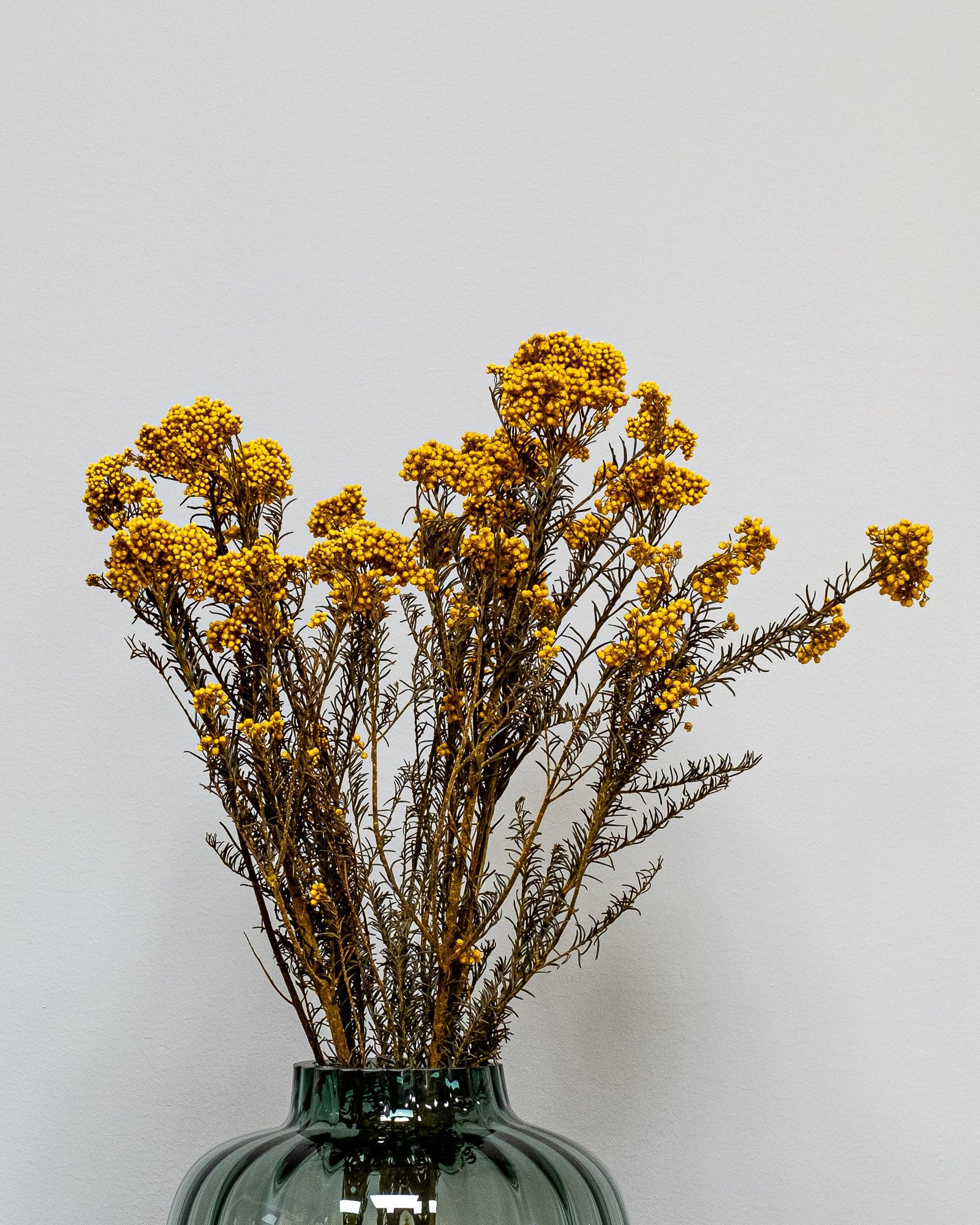 Diosmi Naturell - Säilytetyt kukat 7 Diosmi Naturell - Säilytetyt kukat - Image 7