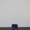 Violetti
