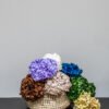 Premium Hydrangea