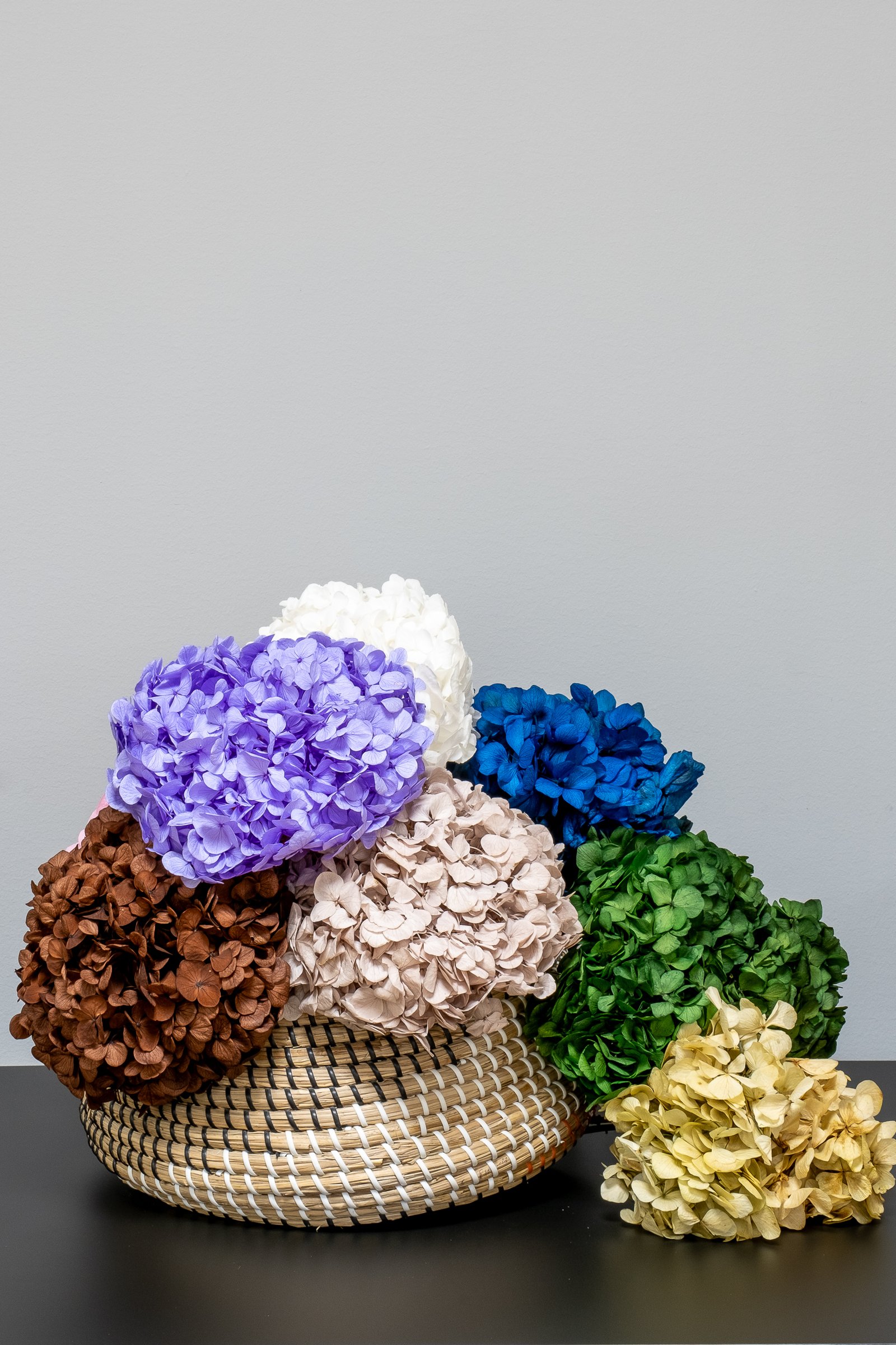 Premium Hydrangea - Säilytetyt kukat 2 Premium Hortensia