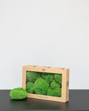 Eksklusiivinen Säilötty Pallosammal – Luonnon 3D-taidetta kotiisi 9 Eksklusiivinen Säilötty Pallosammal – Luonnon 3D-taidetta kotiisi - Image 5