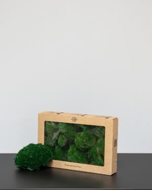 Eksklusiivinen Säilötty Pallosammal – Luonnon 3D-taidetta kotiisi 8 Eksklusiivinen Säilötty Pallosammal – Luonnon 3D-taidetta kotiisi - Image 4
