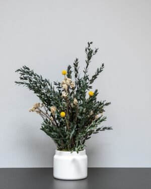 Eksklusiivinen Säilötty Summer Parvifolia – Luonnon kauneutta ilman huolta - Image 2