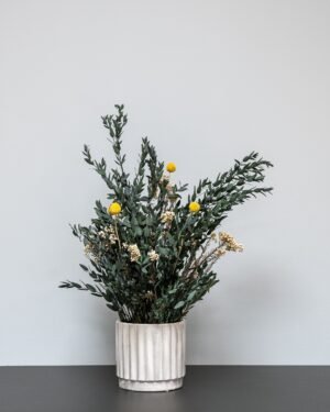 Eksklusiivinen Säilötty Summer Parvifolia – Luonnon kauneutta ilman huolta - Image 4