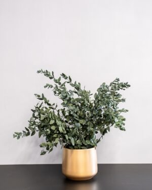 Eksklusiivinen Säilötty Eucalyptus Gunnii – Luonnon kauneutta ilman huolta - Image 3
