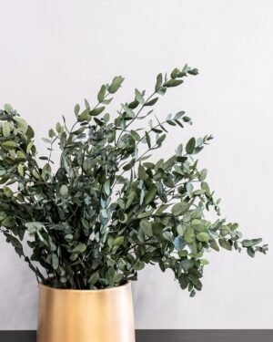 Eksklusiivinen Säilötty Eucalyptus Gunnii – Luonnon kauneutta ilman huolta - Image 4