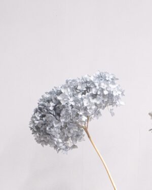 Eksklusiivinen Säilötty Hortensia Long – Luonnon luksusta kotiisi (60 cm) 18 Eksklusiivinen Säilötty Hortensia Long – Luonnon luksusta kotiisi (60 cm) - Image 8